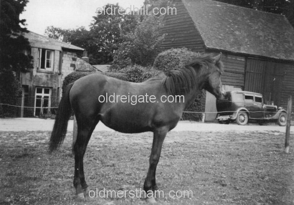 Image number 3058&prevurl=year1939