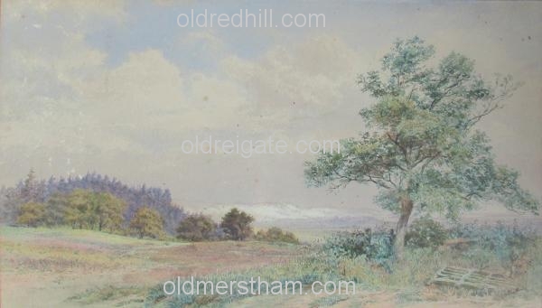 Image number 3173&prevurl=miscart