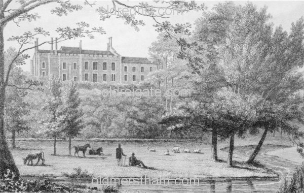 Image number 428&prevurl=betchworthcastle