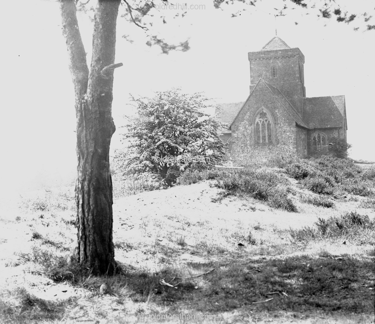 Image number 7188&prevurl=surreystereoviews