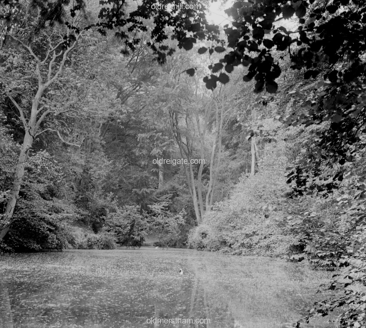 Image number 7191&prevurl=surreystereoviews