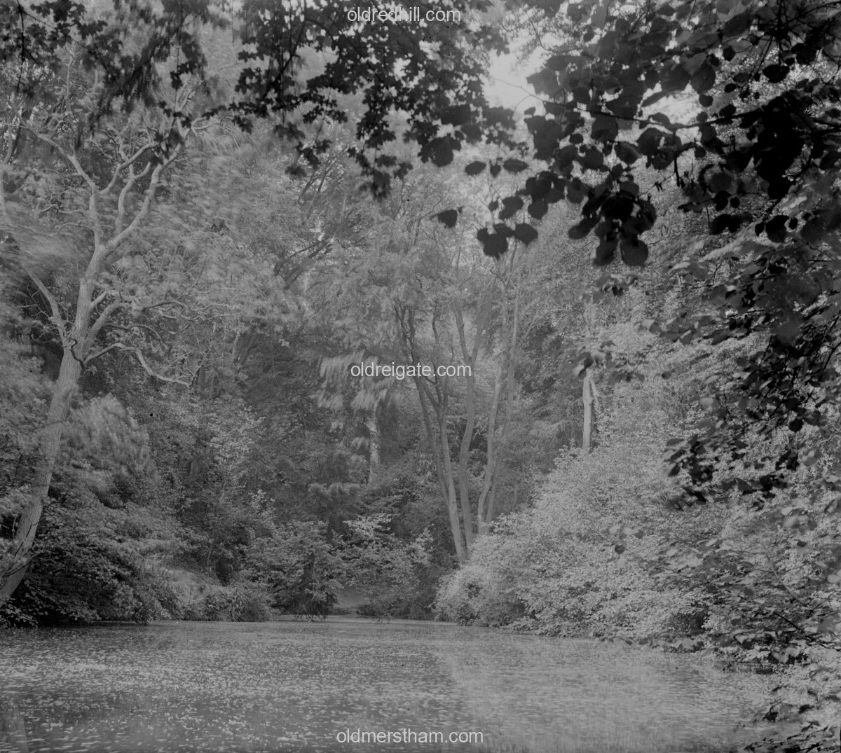 Image number 7192&prevurl=surreystereoviews