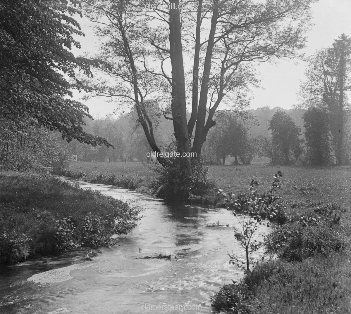 Image number 7193&prevurl=surreystereoviews