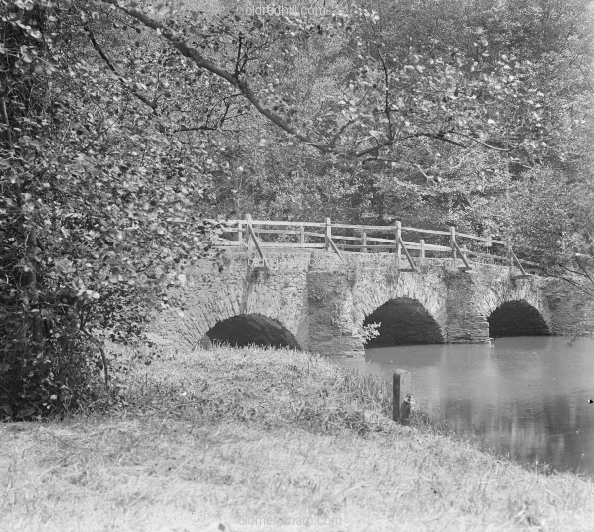Image number 7196&prevurl=surreystereoviews